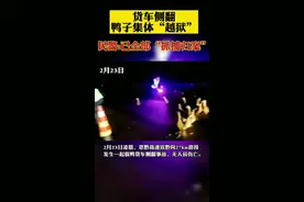 高速公路上货车侧翻，鸭子集体“越狱”，民警半夜将其抓捕“归案”图片