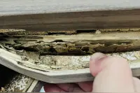 衡阳男子购买品牌木门遭白蚁啃噬，厂家称会积极处理视频封面