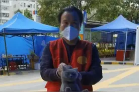 萌宠有人投喂，集中隔离的居民说“安心多了”图片