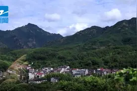 挖野菜啦！春日第一“鲜”，好处这么多图片