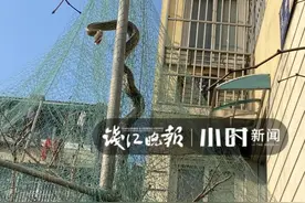现实版“人蛇大战”？杭州小区出现近3米长大蛇，张口与消防员“对峙”图片