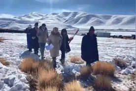 点赞！150多名在淮大学生奔走雪域高原，为百余名农牧民普法！图片