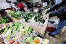 香港鲜活食品供应量正逐步恢复正常图片