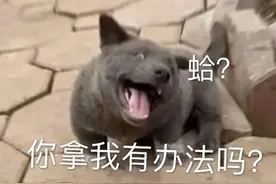 花144万租房20年，租客还是自己的亲生母亲？真相不简单图片