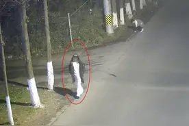 “直播PK”输了，男主播假扮小姐姐混入女浴室又逃走被罚款图片