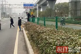 行人冒险横穿马路引驾驶员担忧，市民呼吁行人“管住自己的脚”图片