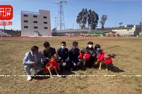 余生请多关照！云南4只退役搜救犬找到新主人啦图片