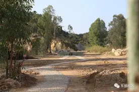 兵姐第一次手榴弹实投画面来啦图片