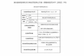 湖北省农信联社因理事取得任职资格核准前实际履职等被罚70万元图片