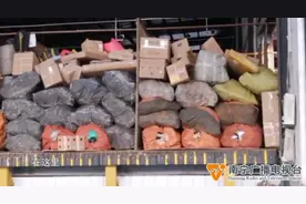 寄递活体动物？南宁一快递站传出叫声，越来越虚弱……图片