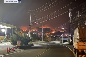 韩国发生大面积山火 消防部门发布最高级火灾警报图片