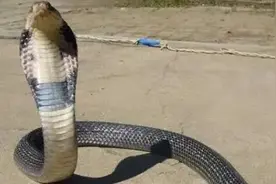 山东一地升为高风险！图片