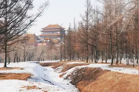 又到踏青登山好时节｜哈市周边这7处登山地让人一见倾心图片