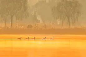 三门峡：这人名震天下，一代帝王等赋诗赞颂图片