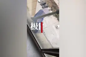 男子用杆套塑料袋解救被困10楼外墙的小猫：袋子里装了好几块肉图片