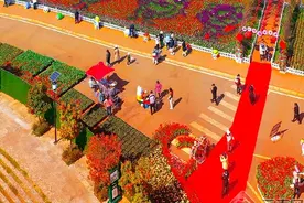 赏花出行可享受地铁票价优惠 这样的昆明你爱了吗图片