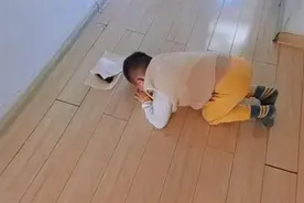 3岁男童砸死小鸭后下跪哭求原谅，妈妈：他很有爱心，只是下手不知轻重图片