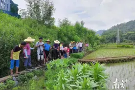 支部建在项目上，高州迎宾大道谢鸡段高效完成土地丈量任务图片
