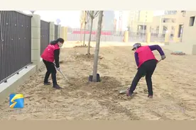 一上午栽植国槐70多棵！潍坊社区“红马甲”为居民小区添新绿图片