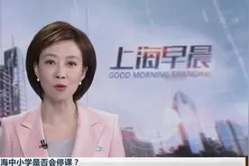 上海中小学是否会停课？  市教委：目前部分学校采用线上教学  后续将及时发布最新教学安排