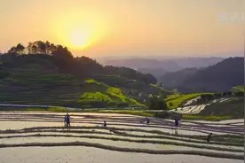 千亩梯田正农时 志愿服务进田间