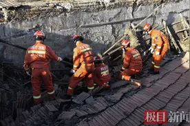 内蒙古一猪圈塌陷，消防救出上百头黑猪，部分“二师兄”体验高空吊救图片