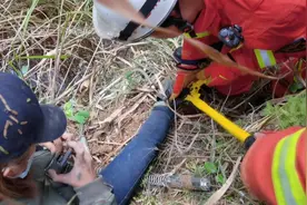 女子爬山遇见有人被捕兽套夹住，上前解救自己也被困图片