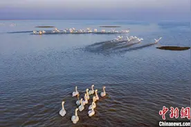 “数九”是个啥？图片