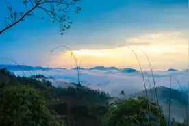 藏不住了！10条春日赏花踏青旅游线路公布图片