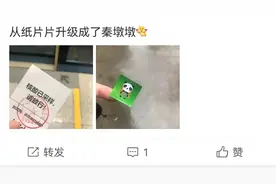 西安人做完核酸检测每人收获一枚熊猫贴纸 网友：快领“秦墩墩”图片