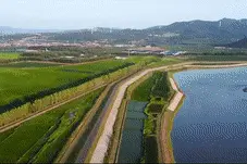 新华社重磅微纪录片《十个春天的故事》图片