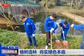 四川新闻联播丨植树造林 夯实绿色本底图片