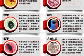 2岁女童眼睛痒医生取出6条活虫 医生：宠物身上常见寄生虫图片