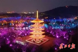 朝7晚10，东湖樱花园赏樱开启“夜间模式”图片