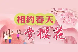 武汉东湖樱花园3月12日开启夜场，闭园时间延至晚上10时图片