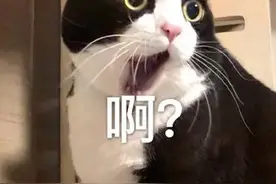 幼儿园孩子被冒充教育机构老师的人接走？真相虽是虚惊一场但也应引以为戒图片