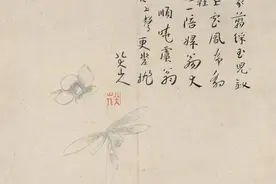 鉴赏｜八大山人：书画双修图片