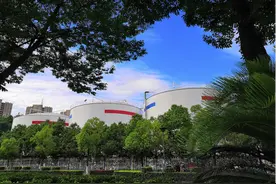 安琪酵母：为消费者撑起“舌尖上”的保护伞图片