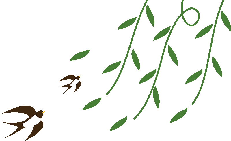 【行邮监管】种子种苗 请勿“海淘”图片