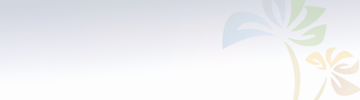 最新！东莞发布六大纾困措施，涉及租金、融资、补助图片