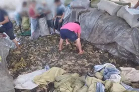 被“3.15”曝光企业！最新回应、进展！你满意吗？图片