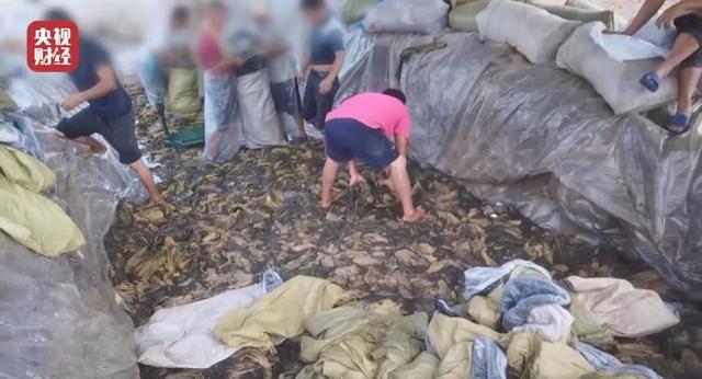 华容网站建设公司（被315曝光企业最新回应进展你满意吗）