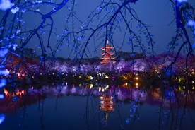 受雷电暴雨天气影响，东湖樱花园3月16日暂停夜场活动图片