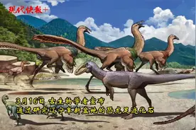 一亿年前，5种以上恐龙在这里生活？是的！可能还有掠杀事件图片