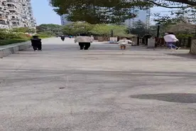 小区封闭管理后的大庆，在朋友圈记录了这些点滴图片