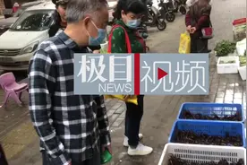 越冬虾入市量减少，新季小龙虾个头小价也不算高，今年小龙虾市场趋理性图片