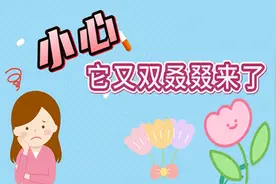 小心，它又双叒叕来了
