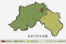 杭州下雨，龙井茶鲜叶收购价怎么样？图片