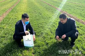 河北农信出台11条措施 加力帮扶市场主体纾困解难图片