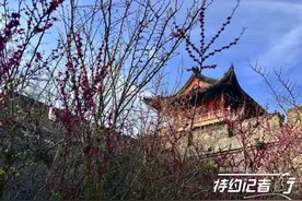 特约记者行：穿过厚重的古城门……图片